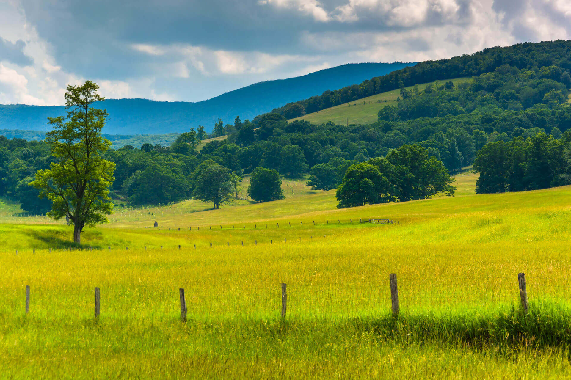 West Virginia farmland near the Potomac Highlands